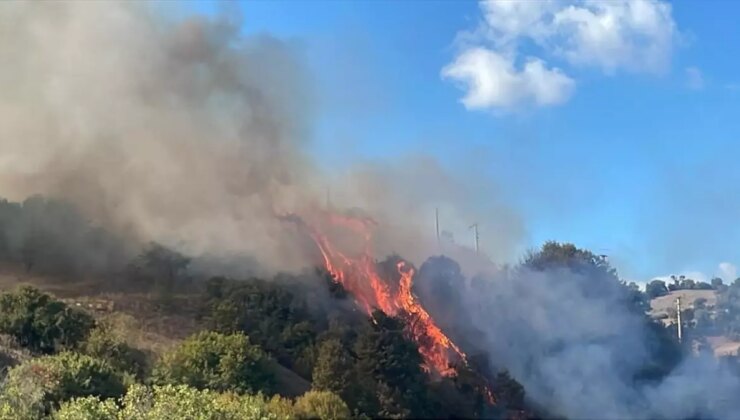 Çanakkale’de Tarım Arazisinde Yangın Çıktı