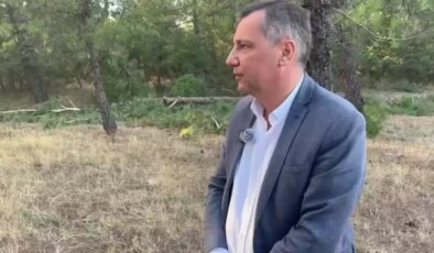 CHP’li Ceylan’dan Cengiz Holding’e Ağaç Kesimi Tepkisi