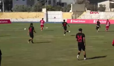 Diyarbekirspor, Hakem Kararına Tepki Olarak Sahadan Çekildi