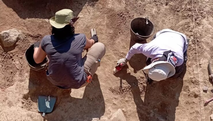 Gökçeada’da 8,800 Yıl Önceki Tarım ve Hayvancılık Topluluğu Keşfedildi