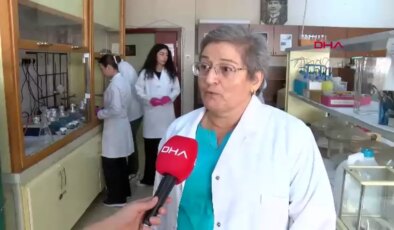 Kenevir Bitkisi ile Şizofreni için İlaç Geliştirme Projesi Başlatıldı