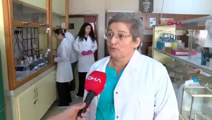 Kenevir Bitkisi ile Şizofreni için İlaç Geliştirme Projesi Başlatıldı