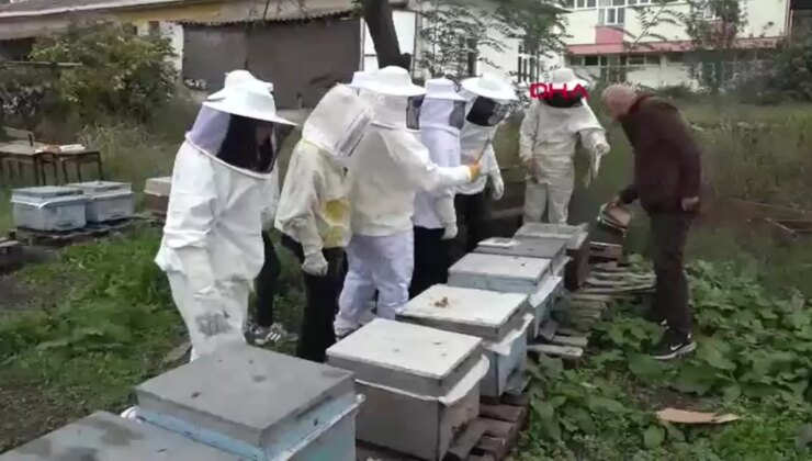 Samsun’da Öğrenciler Arıcılık Dersi ile İlk Hasadı Yaptı