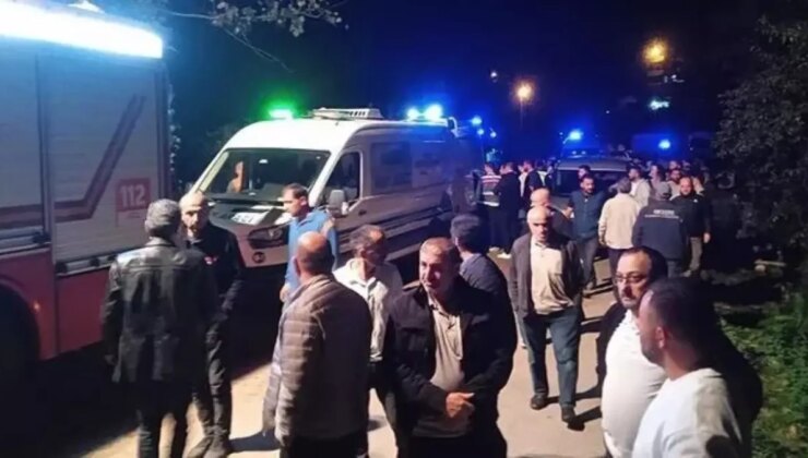 Üzerine tomruk düşen araç sürücüsü hayatını kaybetti