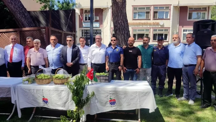 Bayramiç Beyazı’nın Hasat Töreni Gerçekleştirildi: 40 Kilogram Ürün 3 Bin TL’ye Satıldı