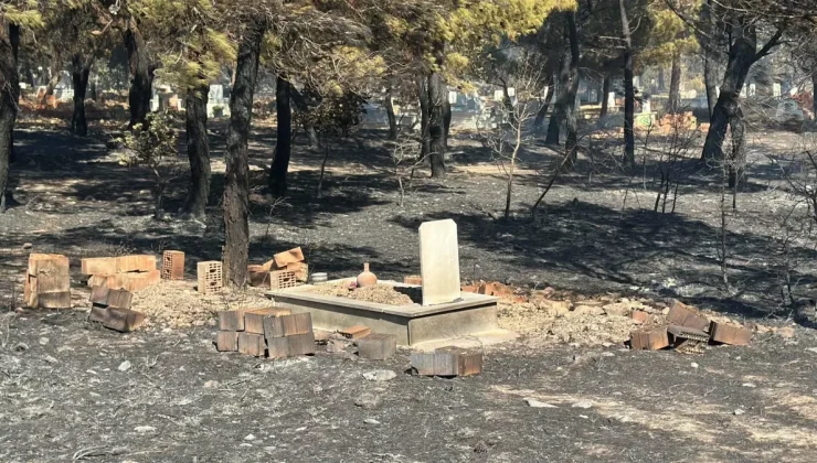 Çanakkale Ayvacık’ta Korkutan Yangın: 1400 Hektar Alan Küle Döndü
