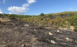 Çanakkale’de Tarım Arazisinden Ormanlık Alana Sıçrayan Yangın Kısa Sürede Kontrol Altına Alındı