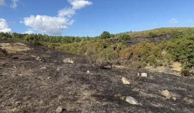 Çanakkale’de Tarım Arazisinden Ormanlık Alana Sıçrayan Yangın Kısa Sürede Kontrol Altına Alındı