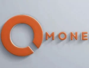 IQ Money’e TMSF Kayyumu: 155 Milyarlık Yasa Dışı Bahis ve Kara Para Operasyonu