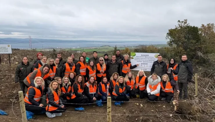 BUSADER, Çanakkale’de 10 Bin Fidanı Toprakla Buluşturdu