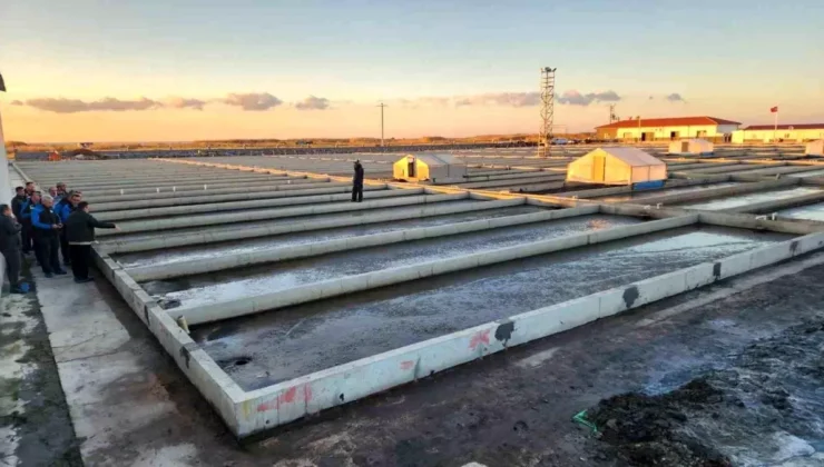Çanakkale’de Deniz Solucanı Yetiştiriciliği Tesisi Sektörde Tek Olma Özelliği Taşıyor