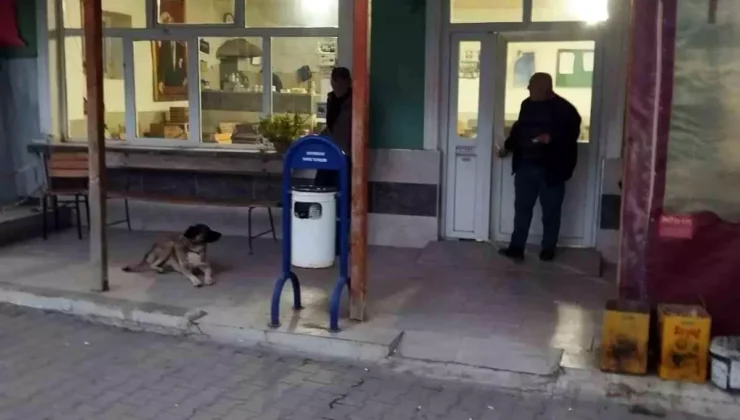 Çanakkale’de Köy Kahvesi İhalesinde İnatlaşma: Kira 126 Bin TL’ye Çıkınca İhale İptal Edildi