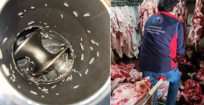 Mide Bulandıran Görüntüler! Etler Küf İçinde, Makinelerde Kurt Var